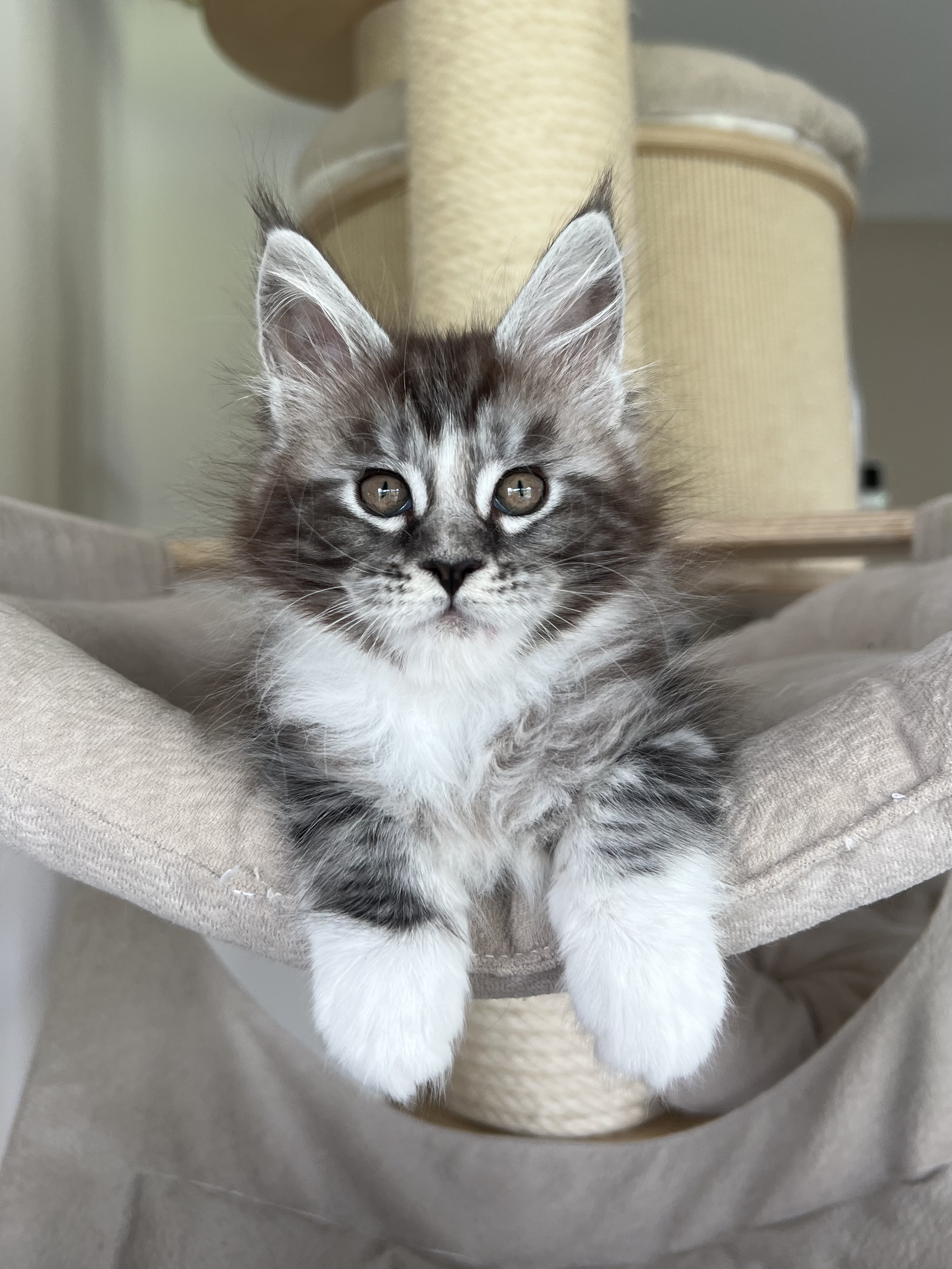 Lydia