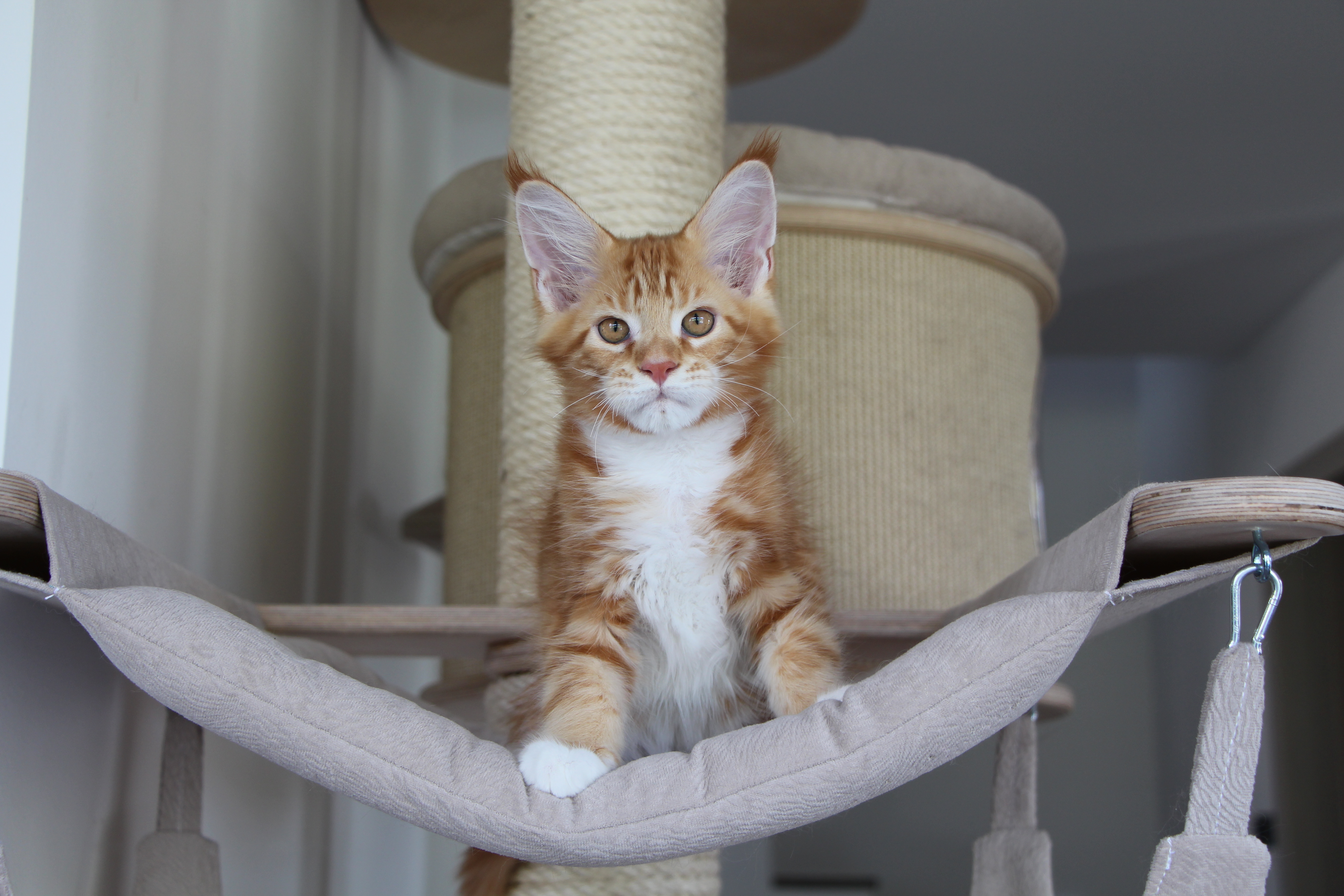 Iztok